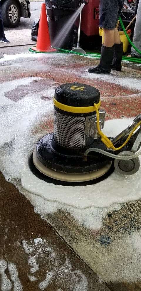 rug cleaning services