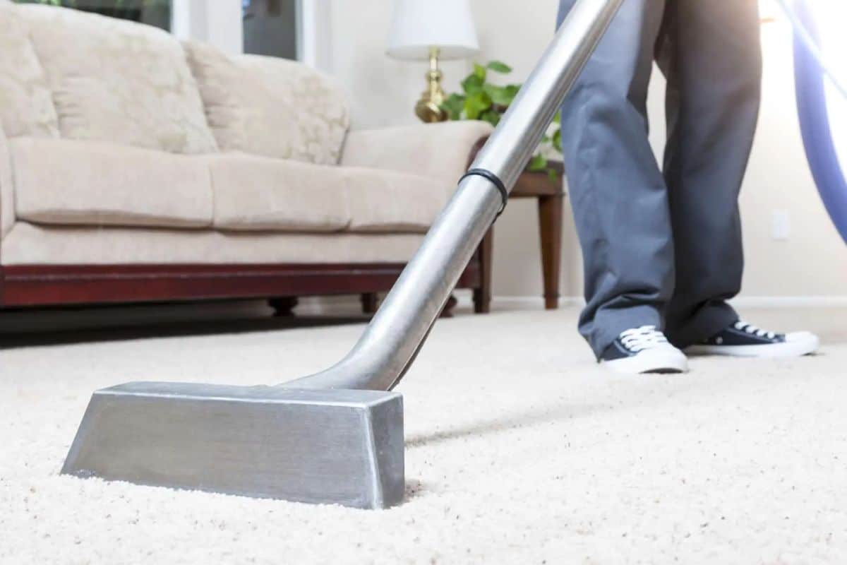 fantastic carpet cleaning nyc