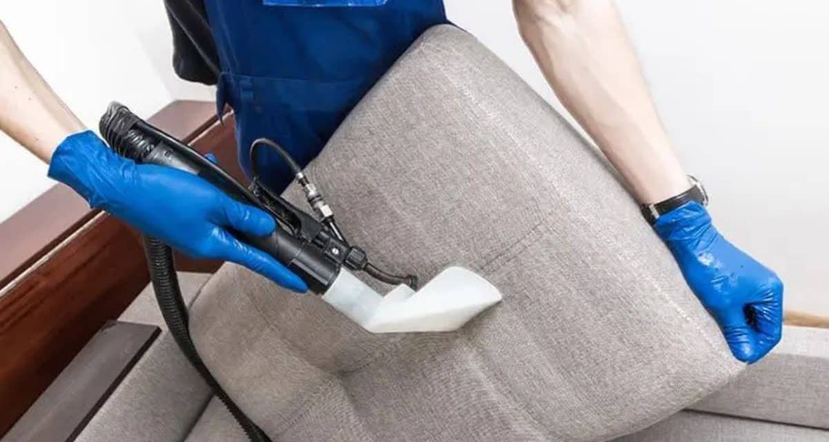 Why You Need a Professional Upholstery Cleaner